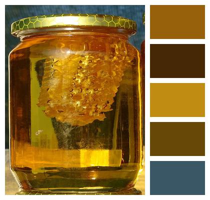 Honey Honey Jar Honeycomb Image
